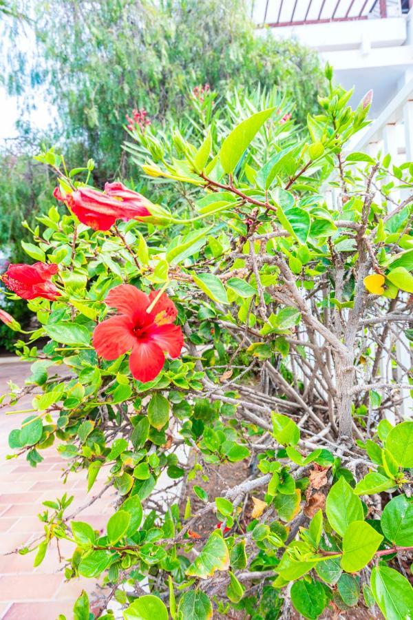 Vivienda Vacacional Rose 科斯塔特吉塞 外观 照片